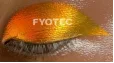 Dark Skin Tone Effect